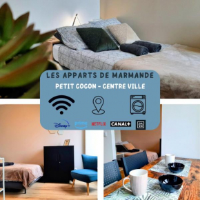 Les Apparts de Marmande - Petit Cocon en ville